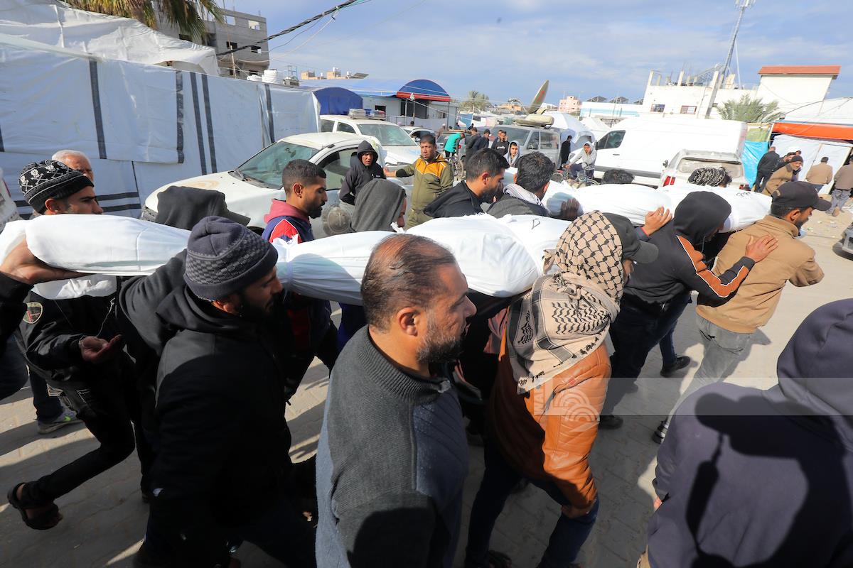 صورة أرشيفية